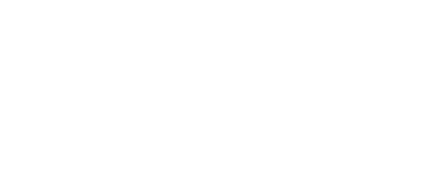 Logo pelloni2